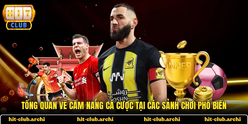 Tổng quan về cẩm nang cá cược tại các sảnh chơi phổ biến